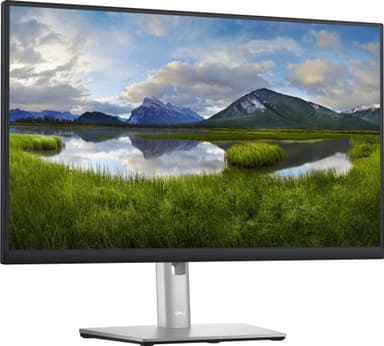 Dell P2423D 23,8" bildskärm