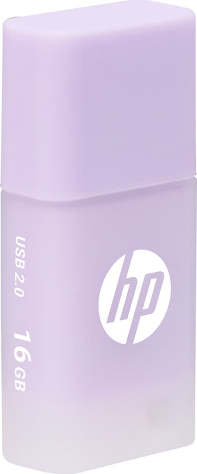 HP v168 USB 2.0-enhet 64 GB