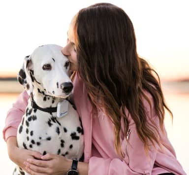 Tractive GPS Hund tracker