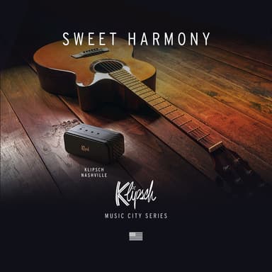 Klipsch Nashville bärbar högtalare (svart)