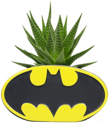 Play Batman blomkruka