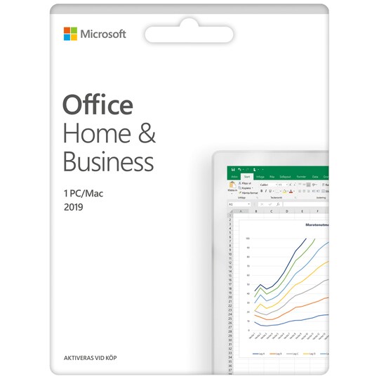 Microsoft Office Home & Business 2019 (SE)