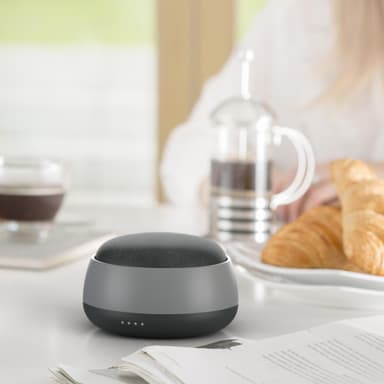 Kit Powerpack för Google Home Mini (svart)