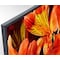 Sony 75" 4K UHD Smart TV KD-75XF8596