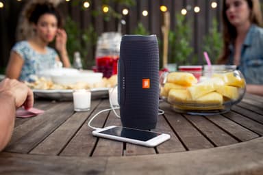 JBL Charge 3 Stealth Edition trådlös högtalare (svart)
