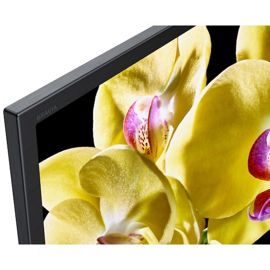 Sony 65" XG80 4K UHD LED Smart TV KD65XG8096
