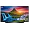 LG 65" C9 4K OLED TV OLED65C9
