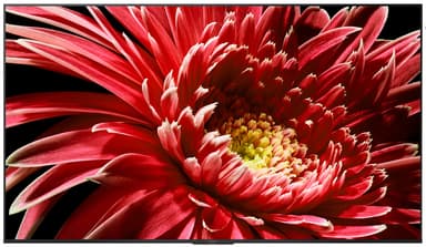 Sony 75" XG85 4K LED TV (2019)