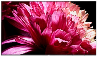 Sony 55" XG95 4K UHD LED Smart TV KD55XG9505