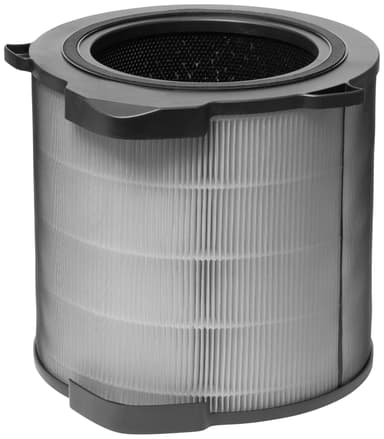 Electrolux luktskyddsfilter 600 400 CADR EFDFRH4