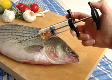 Marinade Injector