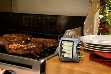 Steak station