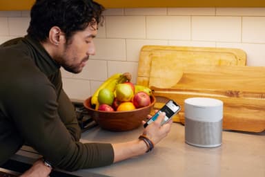 Bose Home Speaker 300 (silver)