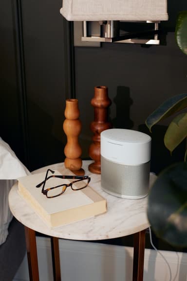Bose Home Speaker 300 (silver)