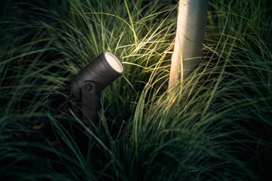Philips Hue Lily svart basenhet till spotlight