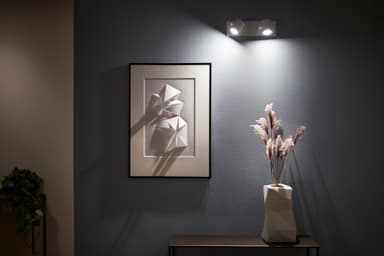 Philips Hue Argenta spotlight 2x5.7W 230V