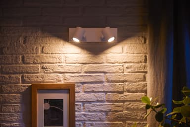 Philips Hue Argenta spotlight 2x5.7W 230V