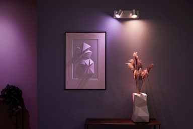 Philips Hue Argenta spotlight aluminium 2x5.7W