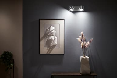 Philips Hue Argenta spotlight aluminium 2x5.7W