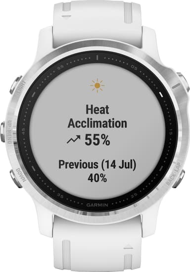 Garmin Fenix 6s GPS träningsklocka 42 mm (silver/vit)