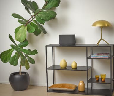 Harman Kardon Citation 300 högtalare (svart)