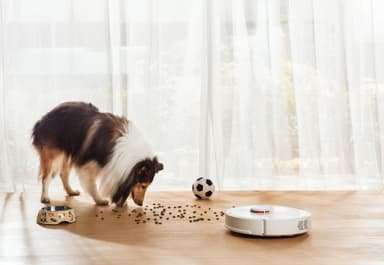 Xiaomi Roborock robotdammsugare S60 (vit)