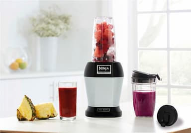 Nutri Ninja nutriblender BL450 Nutri Ninja nutriblender BL450