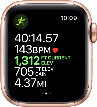 Apple Watch Series 5 40mm (gold alu/pink sand sportband)