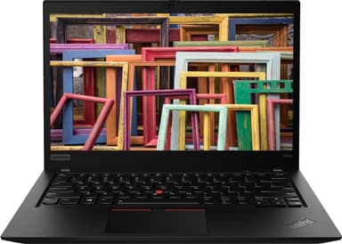 Lenovo ThinkPad T490s 14