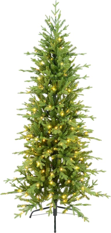 Christmas Collection julgran EJ635014