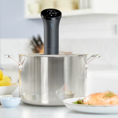 Anova Precision Sous Vide Nano AN400-EU00