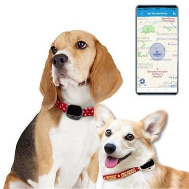 GPS + LBS + WiFi Tracker för husdjur