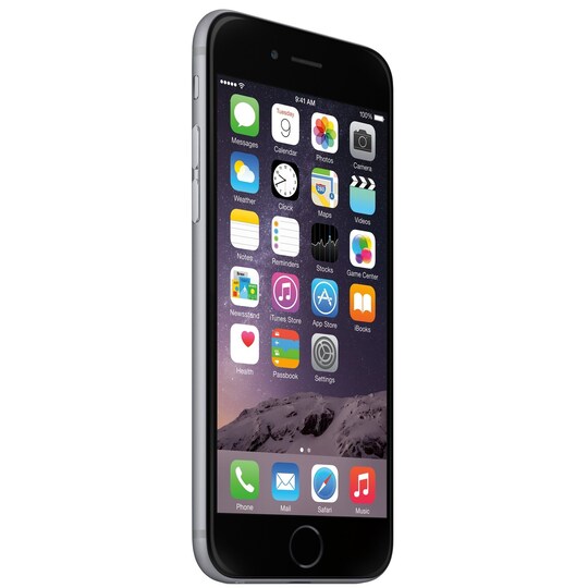 iPhone 6 Plus 16GB (rymdgrå)