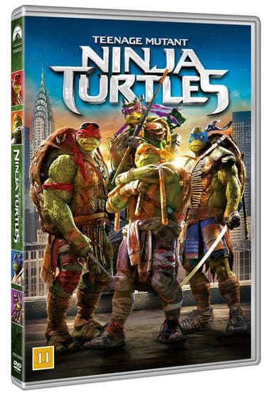 Teenage Mutant Ninja Turtles (DVD)