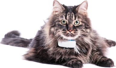 Tractive GPS katt tracker