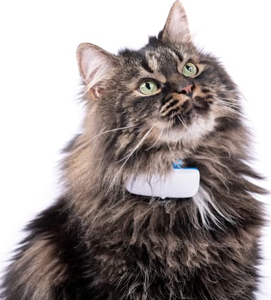 Tractive GPS katt tracker