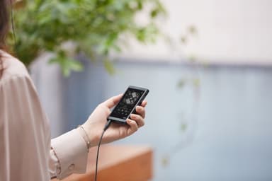 Sony Walkman 16 GB NW-A55 digital musikspelare (svart)