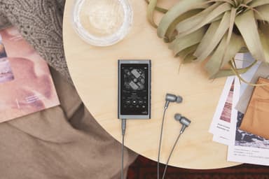 Sony Walkman 16 GB NW-A55 digital musikspelare (svart)