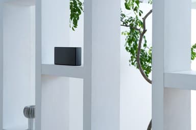 Sony Wireless Bluetooth Högtalare SRS-X55 (svart)