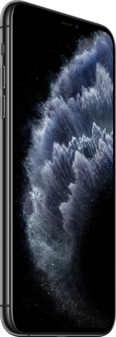 iPhone 11 Pro Max smartphone 256 GB (space grey)