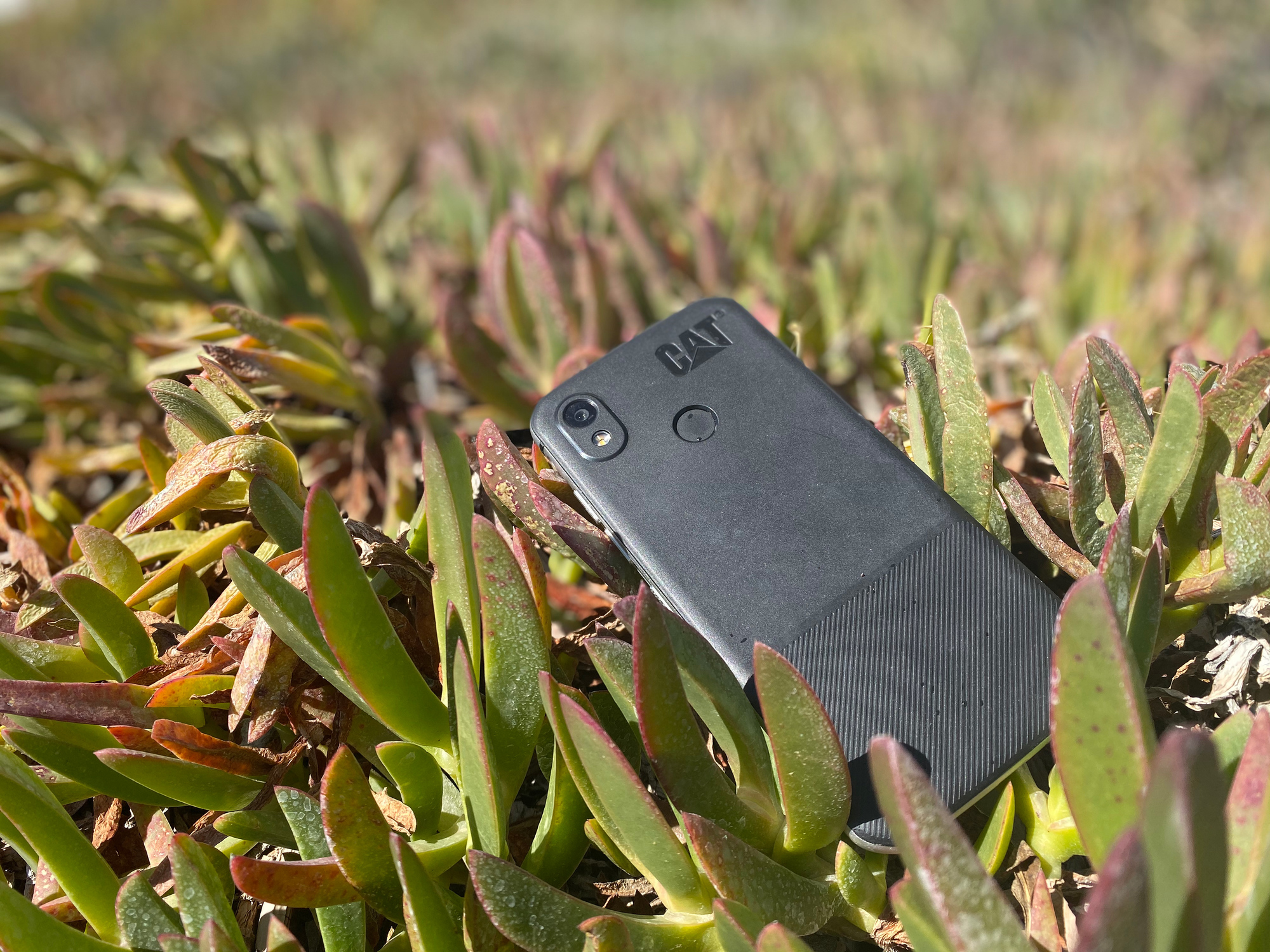 CAT S52 smartphone (svart)