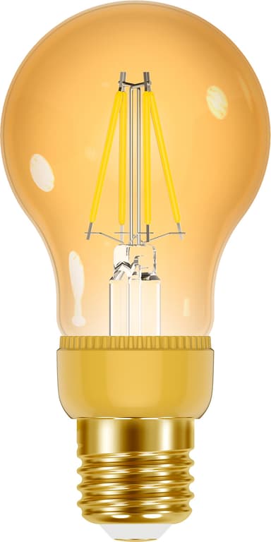 Smartline The Timeless Classic glödlampa E27