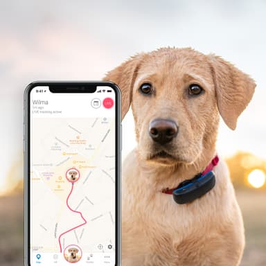 Tractive GPS hund tracker