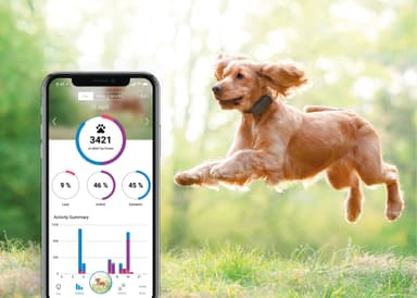 Tractive GPS hund tracker