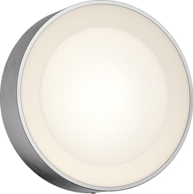 Philips Hue Daylo vägglampa 15W (inox)