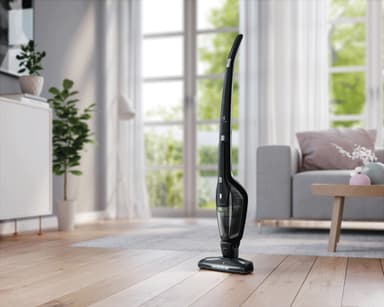 Electrolux Ergorapido sladdlös skaftdammsugare (svart)