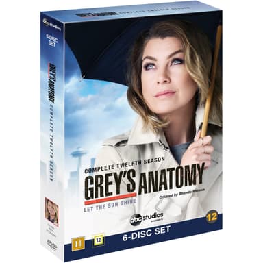 Greys Anatomy - Säsong 12 (DVD)