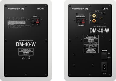Pioneer DM-40-W