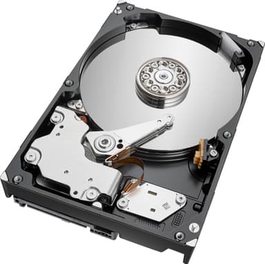 Seagate IronWolf Pro 3.5" intern hårddisk för NAS (4 TB)