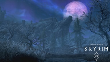 The Elder Scrolls V Skyrim VR PC Windows Elgiganten